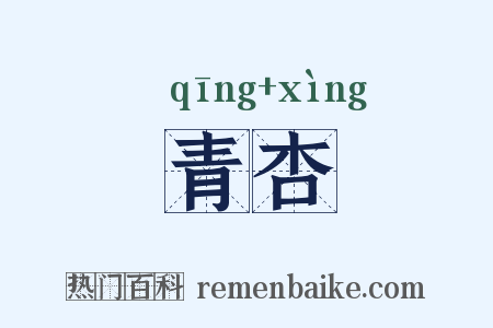 青杏是什么意思的图片